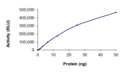 Sino Biological&nbsp;Recombinant Human FGFR1 Protein (GST Tag), Active